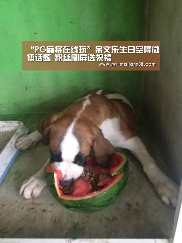 “PG麻将在线玩”余文乐生日空降微博话题 粉丝刷屏送祝福(图2) PG电子平台