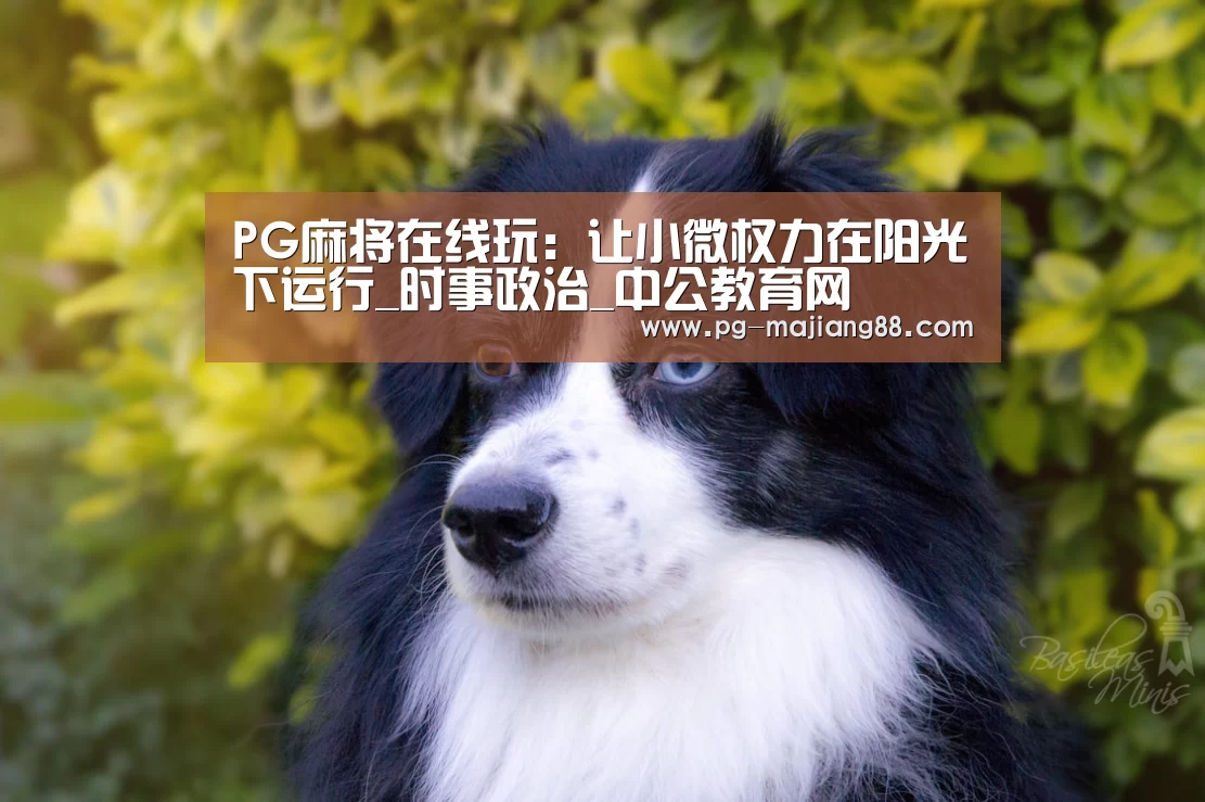PG麻将在线玩