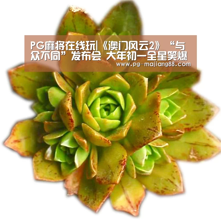 PG麻将APP下载