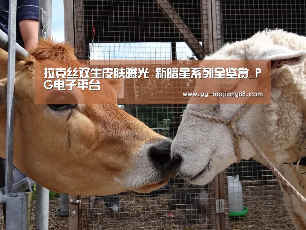 拉克丝双生皮肤曝光 新暗星系列全鉴赏_PG电子平台(图3) PG娱乐中心
