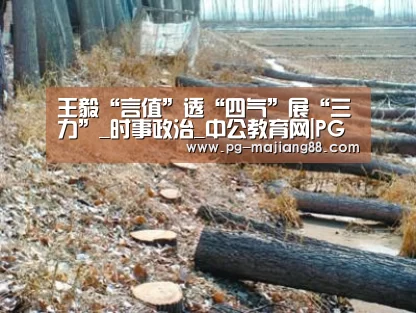 王毅“言值”透“四气”展“三力”_时事政治_中公教育网|PG娱乐中心(图3) PG麻将在线玩