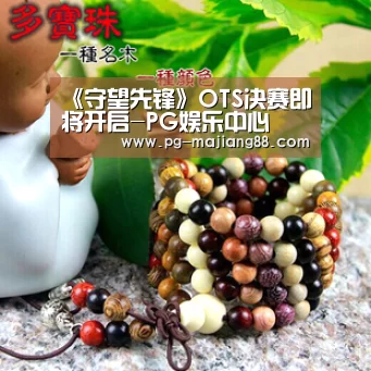 《守望先锋》OTS决赛即将开启-PG娱乐中心(图2) PG娱乐中心