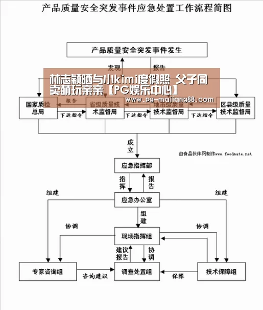 PG麻将在线玩