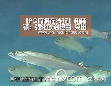 【PG麻将在线玩】柏林镇:强化政治担当 突出问题导向 狠抓工作落实(图1) PG电子平台
