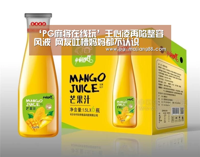 PG麻将在线玩