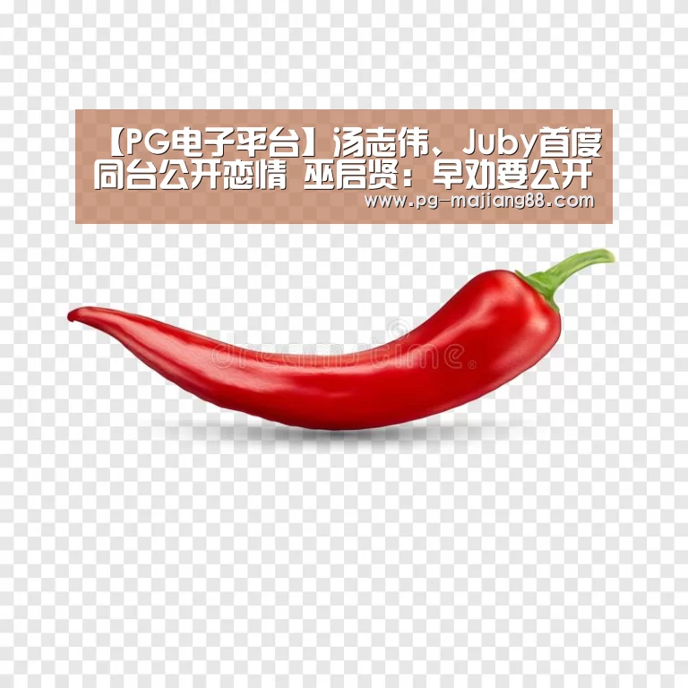 PG麻将APP下载