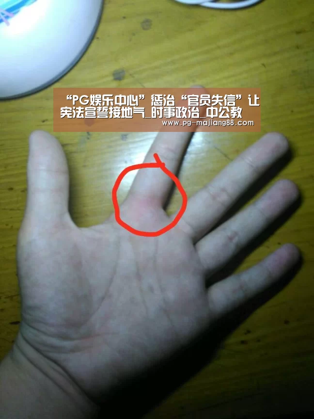 “PG娱乐中心”惩治“官员失信”让宪法宣誓接地气_时事政治_中公教育网(图2) PG麻将在线玩