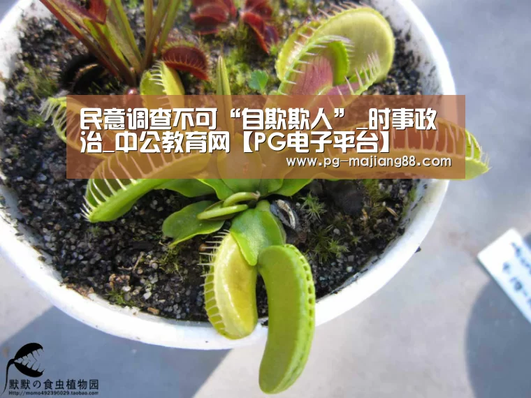 民意调查不可“自欺欺人”_时事政治_中公教育网【PG电子平台】(图3) PG电子平台